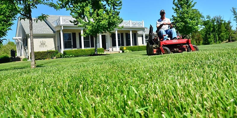 The Perfect Lawn Care Service Schedule